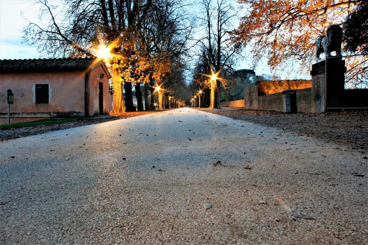Finca Del Sol Lucca Luaran gambar